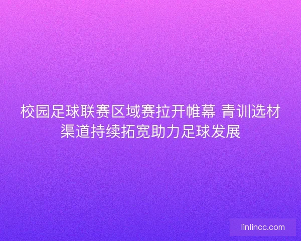 校园足球联赛区域赛拉开帷幕 青训选材渠道持续拓宽助力足球发展