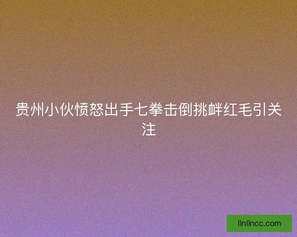 贵州小伙愤怒出手七拳击倒挑衅红毛引关注